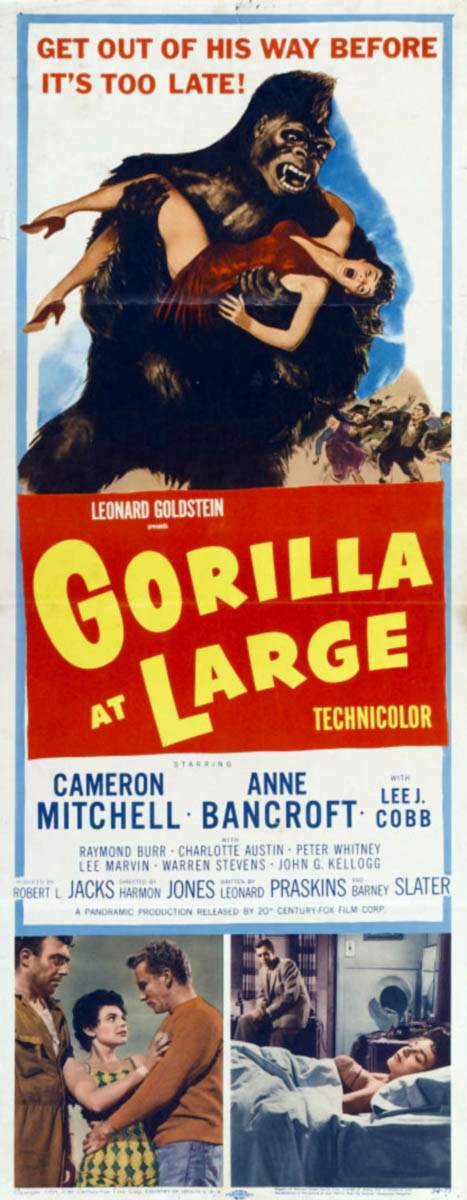 GORILLA AT LARGE